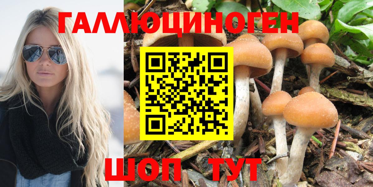 Изобильный  купить   Вход с VPN  Галлюциногенные грибы прущие грибы 