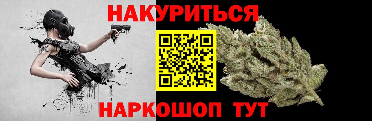 Конопля конопля Изобильный